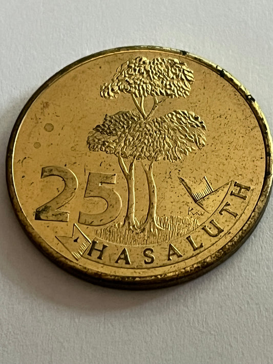 Stad Hasselt - 25 Hasaluth Token (Belgium)