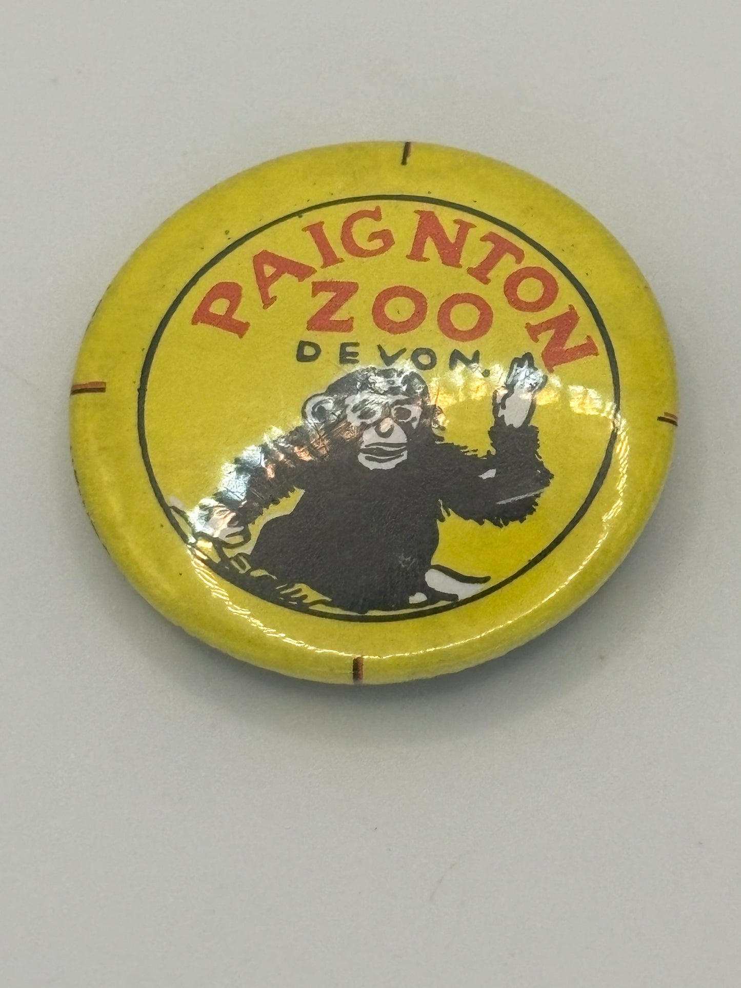 Paignton Zoo Vintage Tin Badge