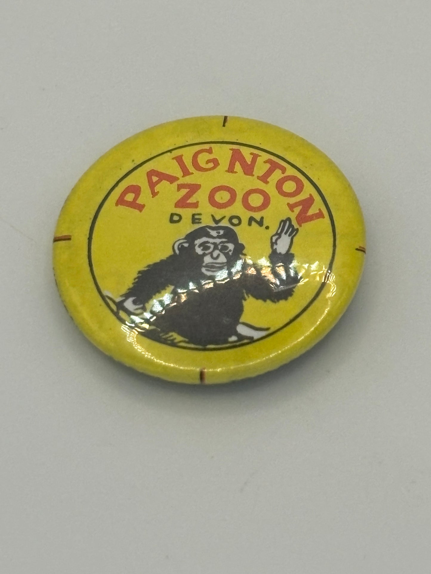 Paignton Zoo Vintage Tin Badge