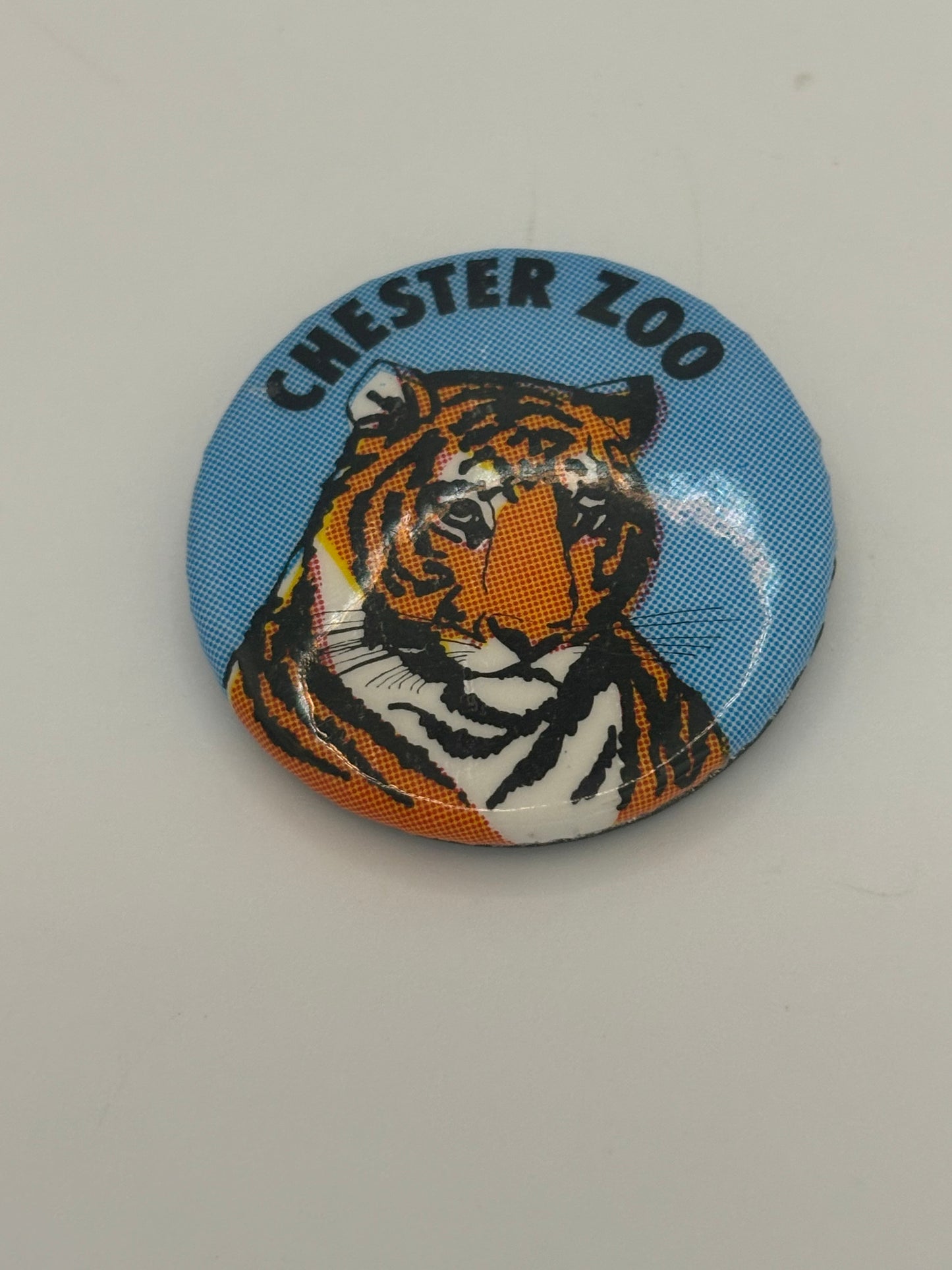 Chester Zoo - Vintage Tiger Tin Badge