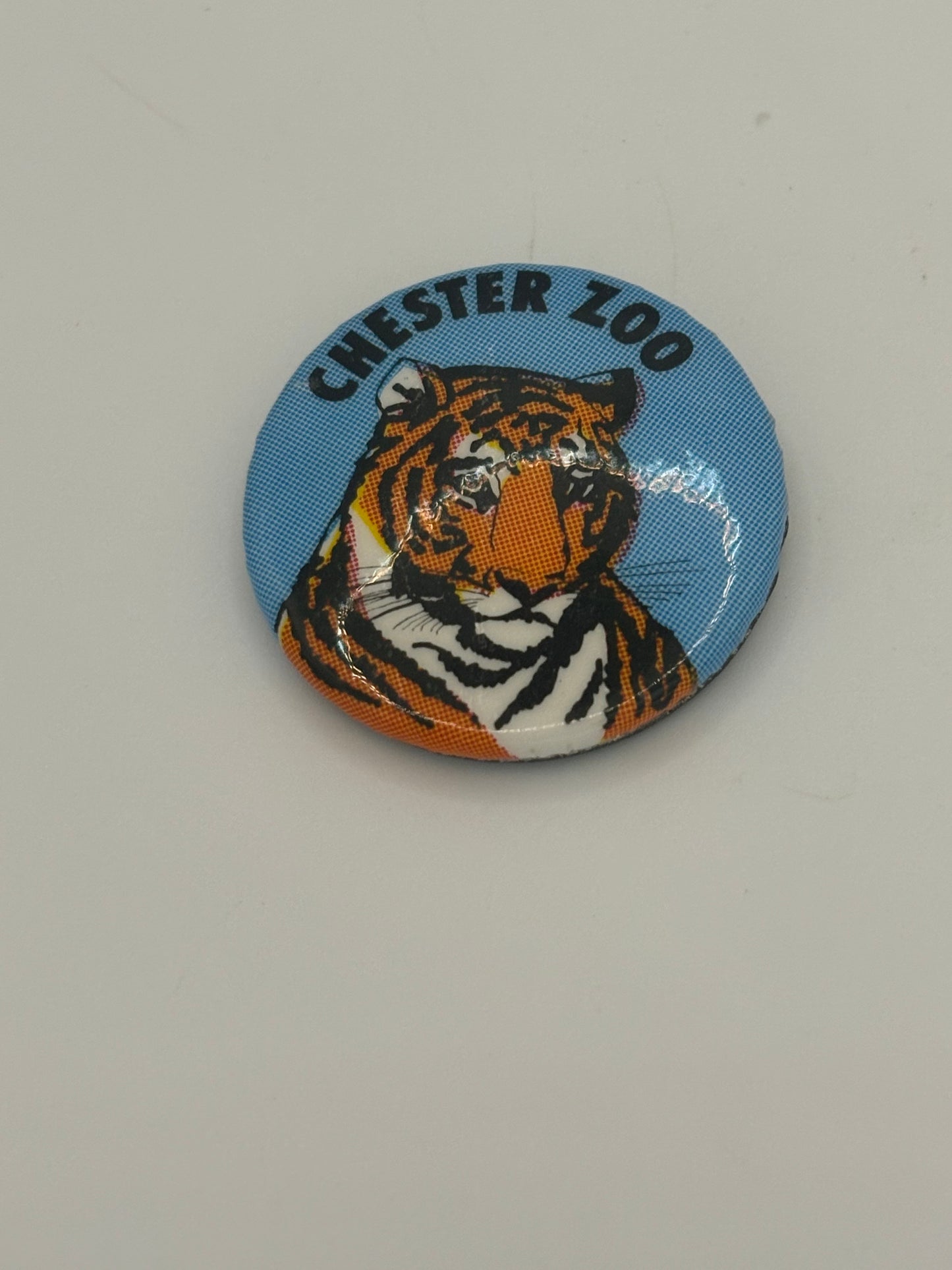 Chester Zoo - Vintage Tiger Tin Badge