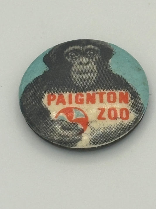 Paignton Zoo - Chimp - Round Tin Badge