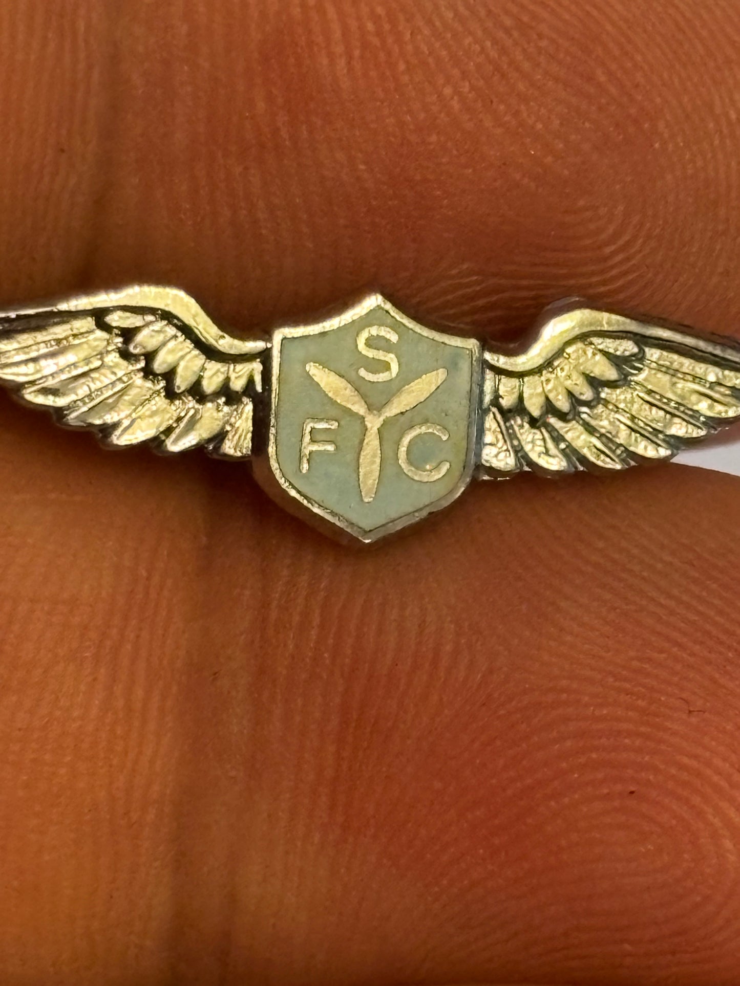 Unidentified Flying Club Badge