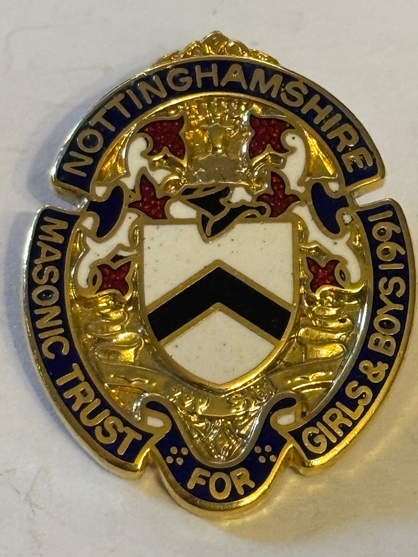 Nottinghamshire masonic pin badge