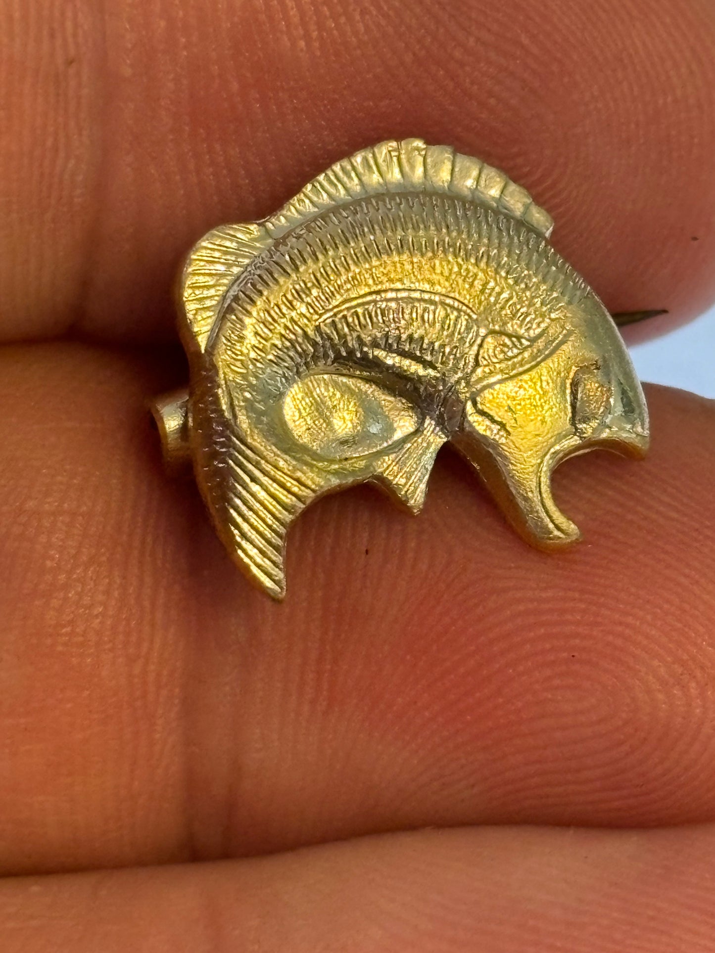 Small gold leaping fish badge (Bass?)