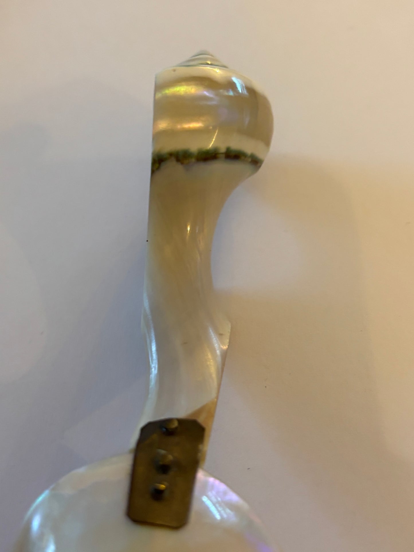 Vintage Mother of Pearl caviar spoon