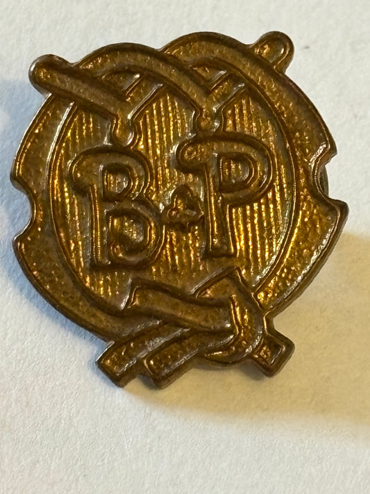 Girl Guides Be Prepared Bronze Badge