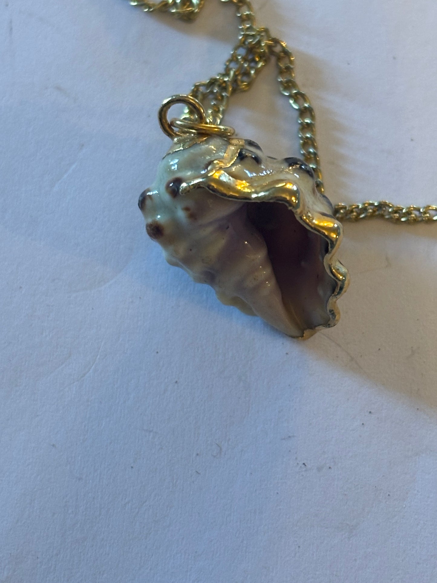 Gold chain necklace with seashell pendant trimmed with gold