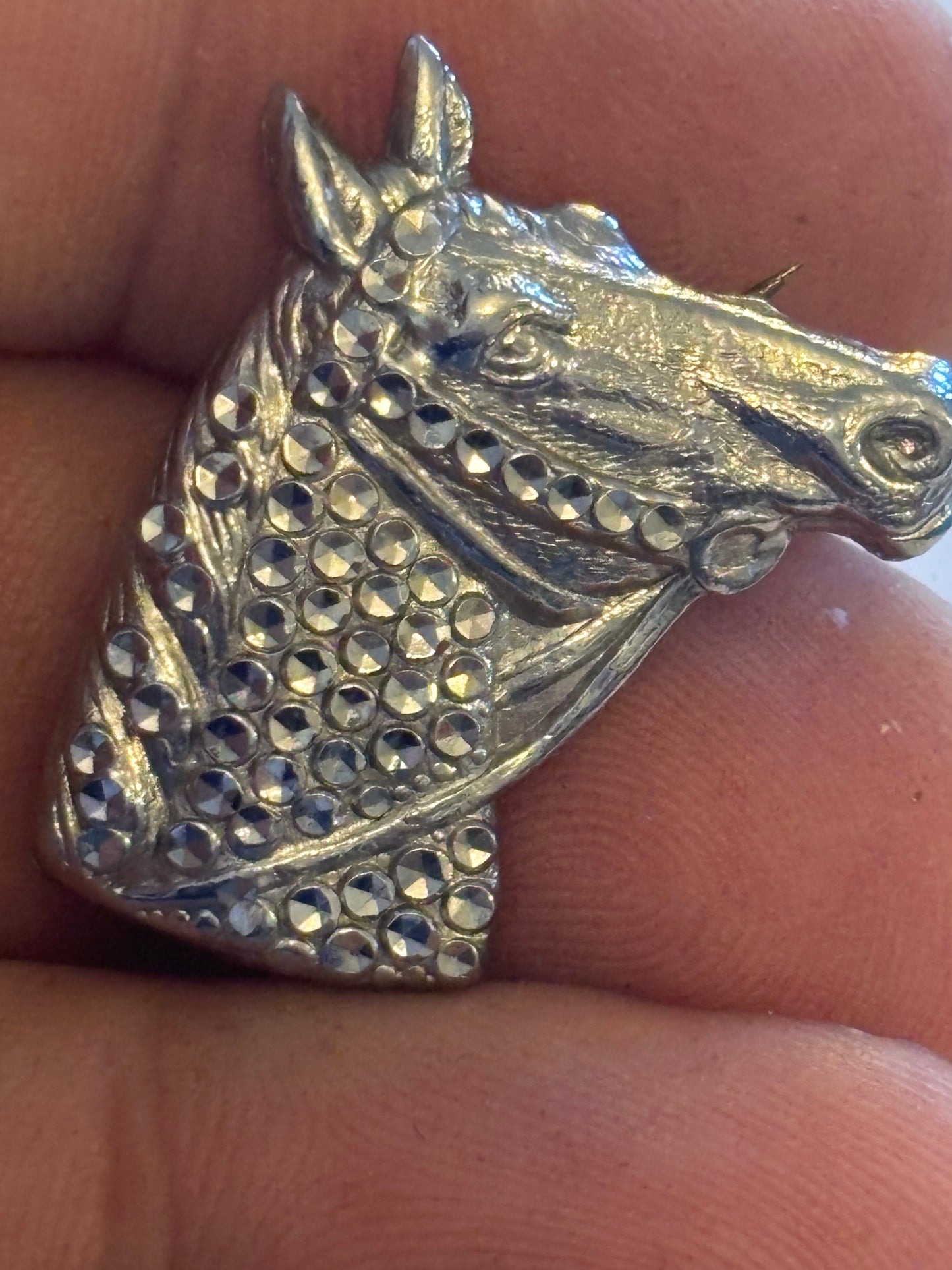 Silver horse head brooch