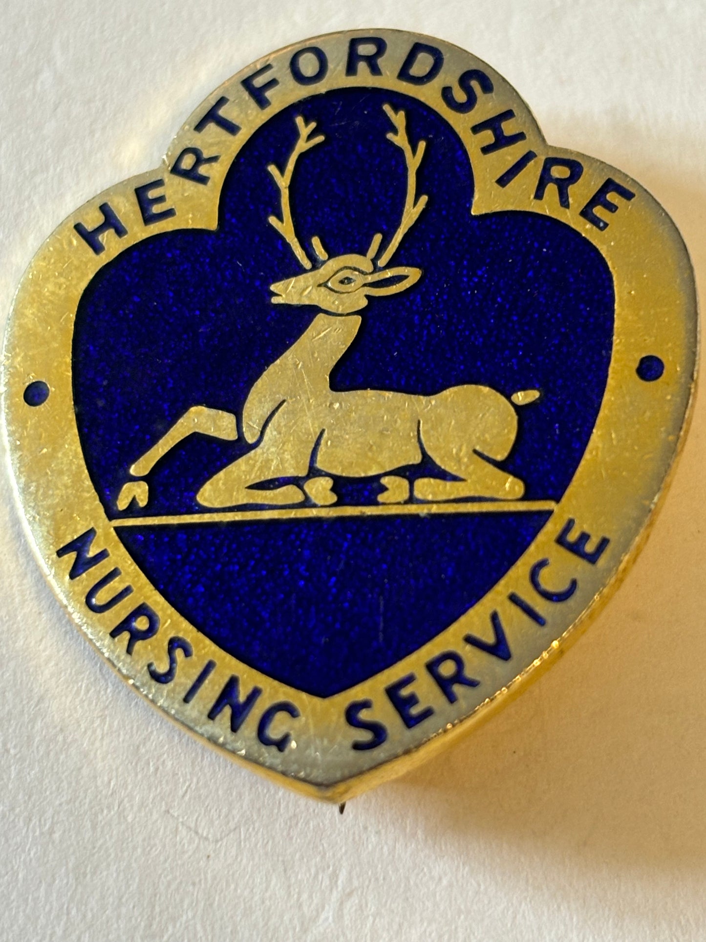 Hertfordshire Nursing Service Metal Badge