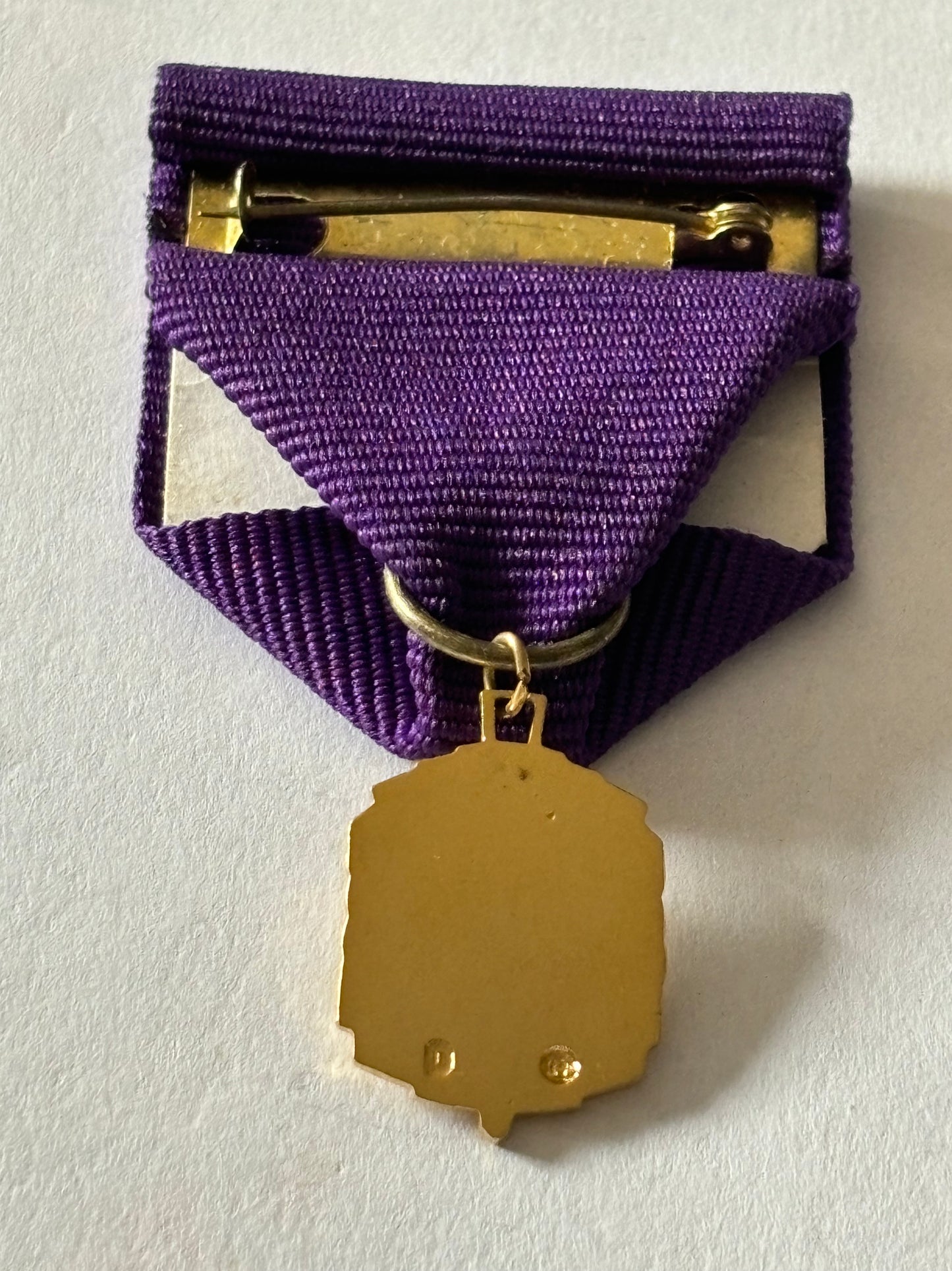 Lions club chairman medal