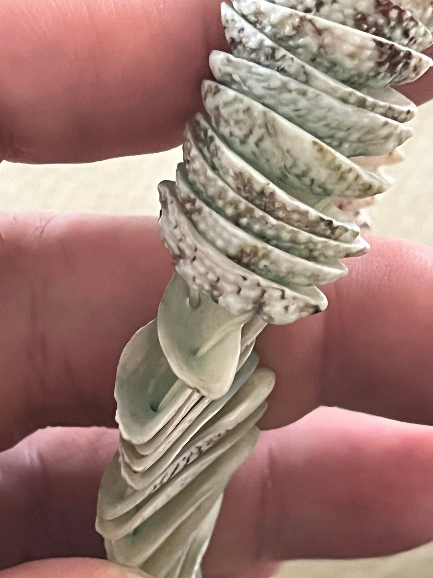 Tightly packed shells stretch bracelet