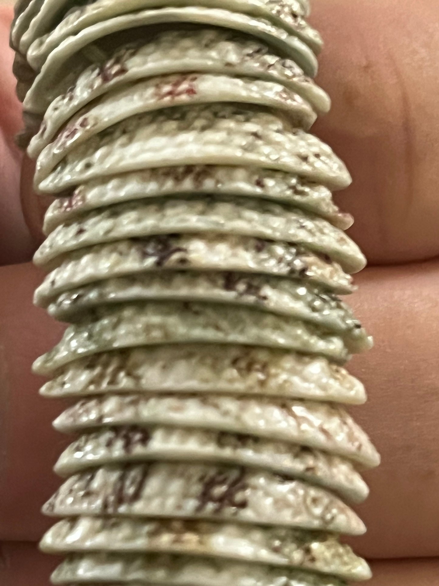 Tightly packed shells stretch bracelet