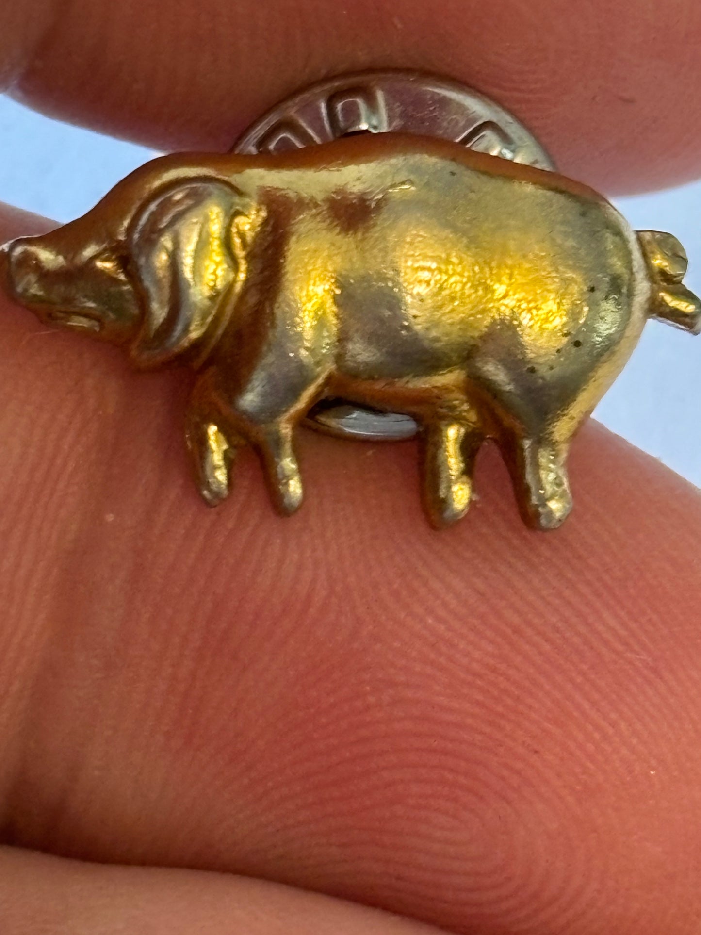 Small gold metal pig pin padge