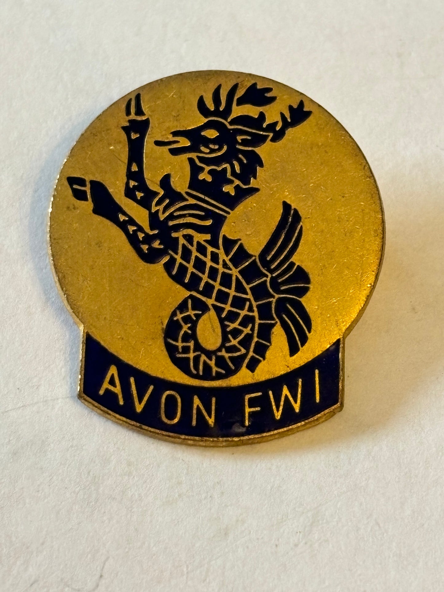 Avon Womens Institute Gold Metal Badge